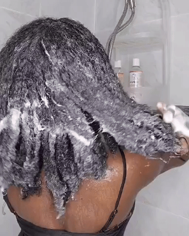 Sheesa Complete Hair Care Kit